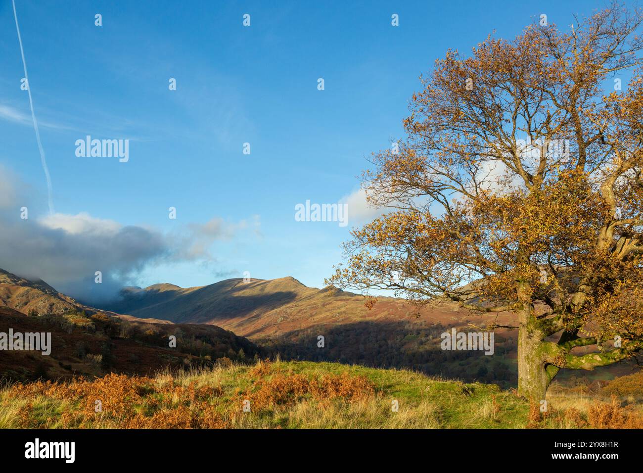 Fairfield Horseshoe da Loughrigg Fell, Lake District National Park, Cumbria, Inghilterra, Regno Unito Foto Stock