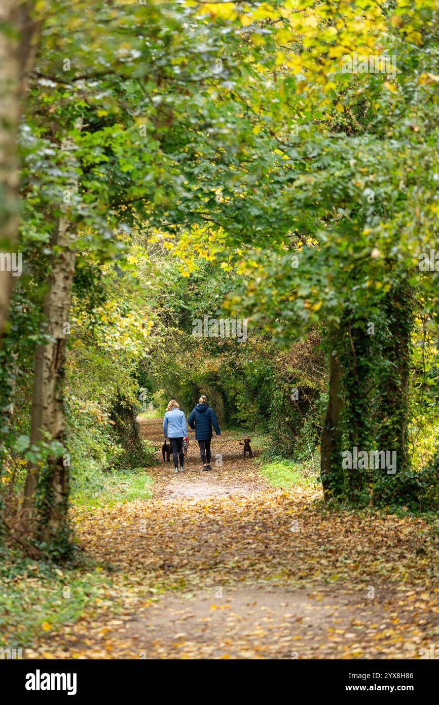Camminate sulla Wirral Way, una vecchia linea ferroviaria vicino a Neston, Wirral, Cheshire Foto Stock