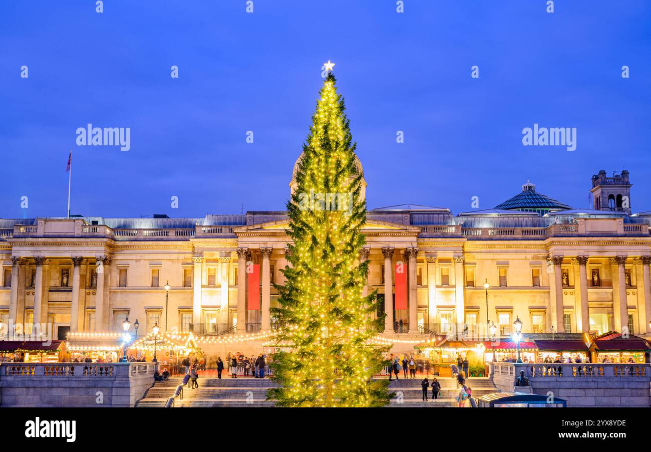 Albero di Natale di Trafalgar Square a Londra in inverno Foto Stock