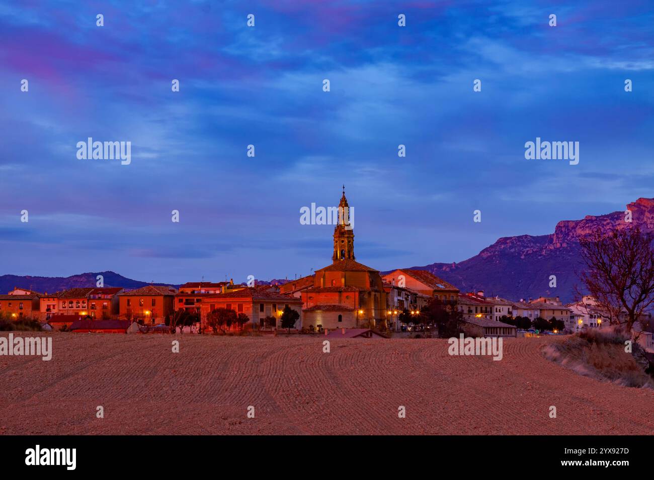Vista panoramica dei vigneti autunnali nella regione di la Rioja con foglie colorate e catena montuosa come sfondo Foto Stock