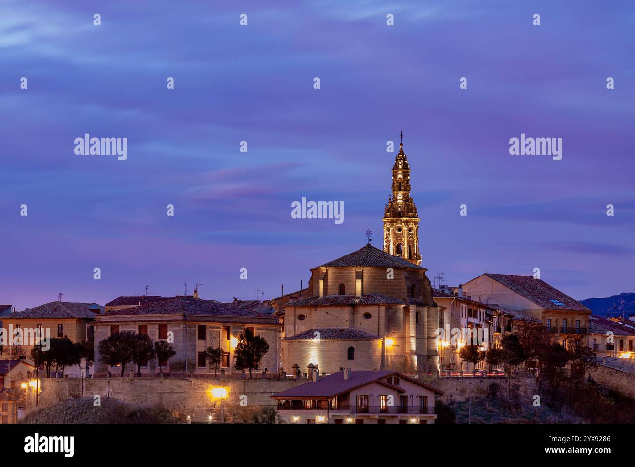Vista panoramica dei vigneti autunnali nella regione di la Rioja con foglie colorate e catena montuosa come sfondo Foto Stock