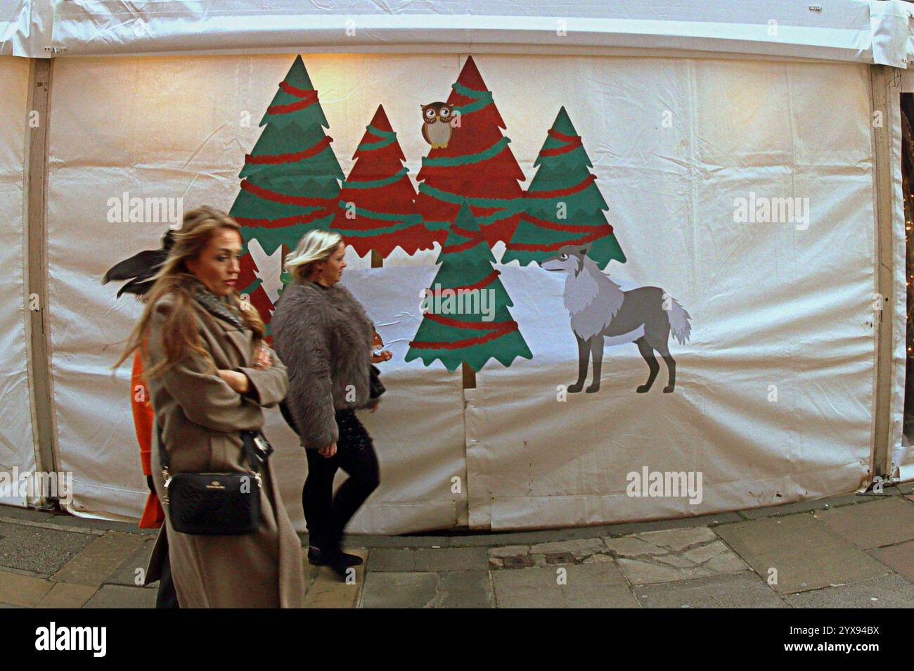Edimburgo, Scozia, Regno Unito. 14 dicembre 2024. Meteo nel Regno Unito: La gente del posto si è recata ai mercatini e alle strade di natale come capitale per la celebrazione di tre settimane in città. La fiera di natale in george Street. Credit Gerard Ferry/Alamy Live News Foto Stock