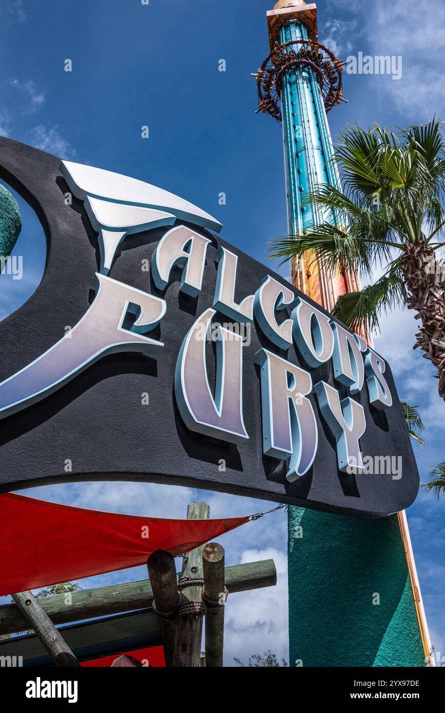 Falcon's Fury, una torre di caduta da brivido estrema che immerge i piloti in una discesa di 300 metri al Busch Gardens Tampa Bay di Tampa, Florida. (USA) Foto Stock