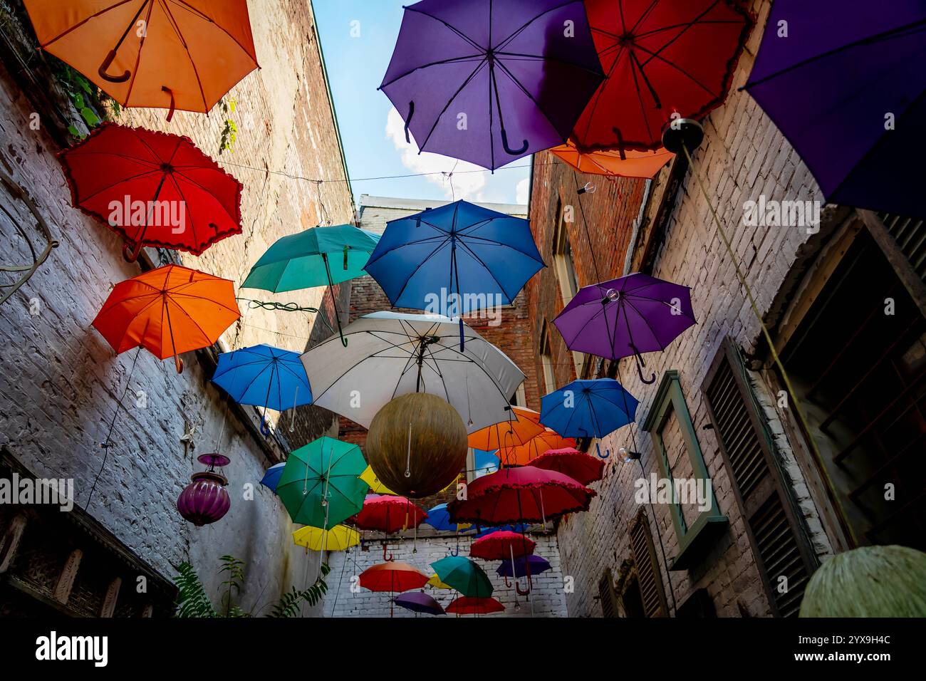 Un baldacchino di vibranti e colorati ombrelli appesi in alto, creando un'atmosfera suggestiva e giocosa lungo il passaggio pedonale. Le tonalità luminose aggiungono un tocco di allegria Foto Stock