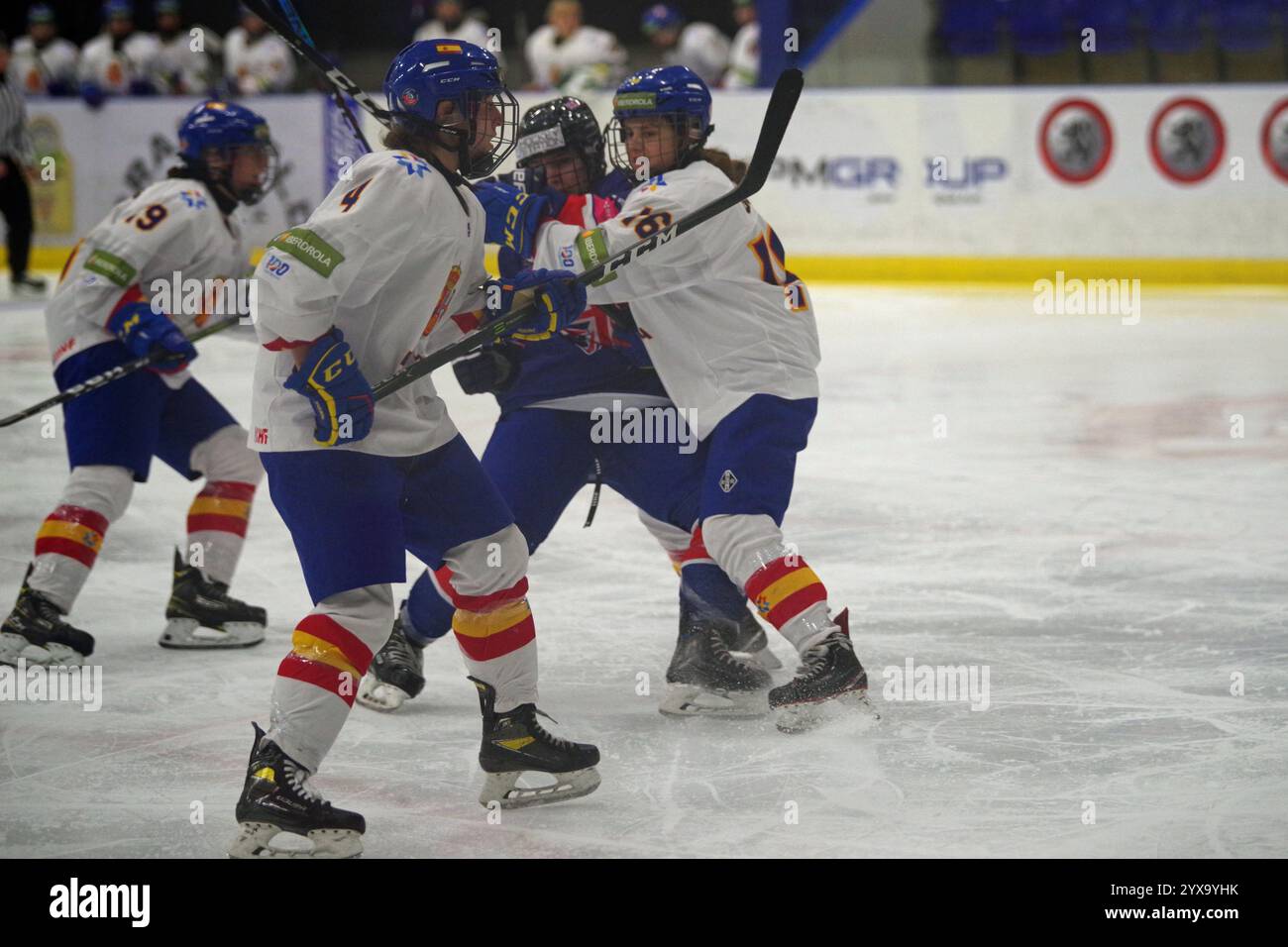 Sheffield, Inghilterra, 14 dicembre 2024. Maria Serna gioca per la Spagna contro la Gran Bretagna nel terzo round del torneo femminile di qualificazione olimpica di hockey su ghiaccio alla Bauer Arena di Sheffield. Crediti: Colin Edwards/Alamy Live News Foto Stock