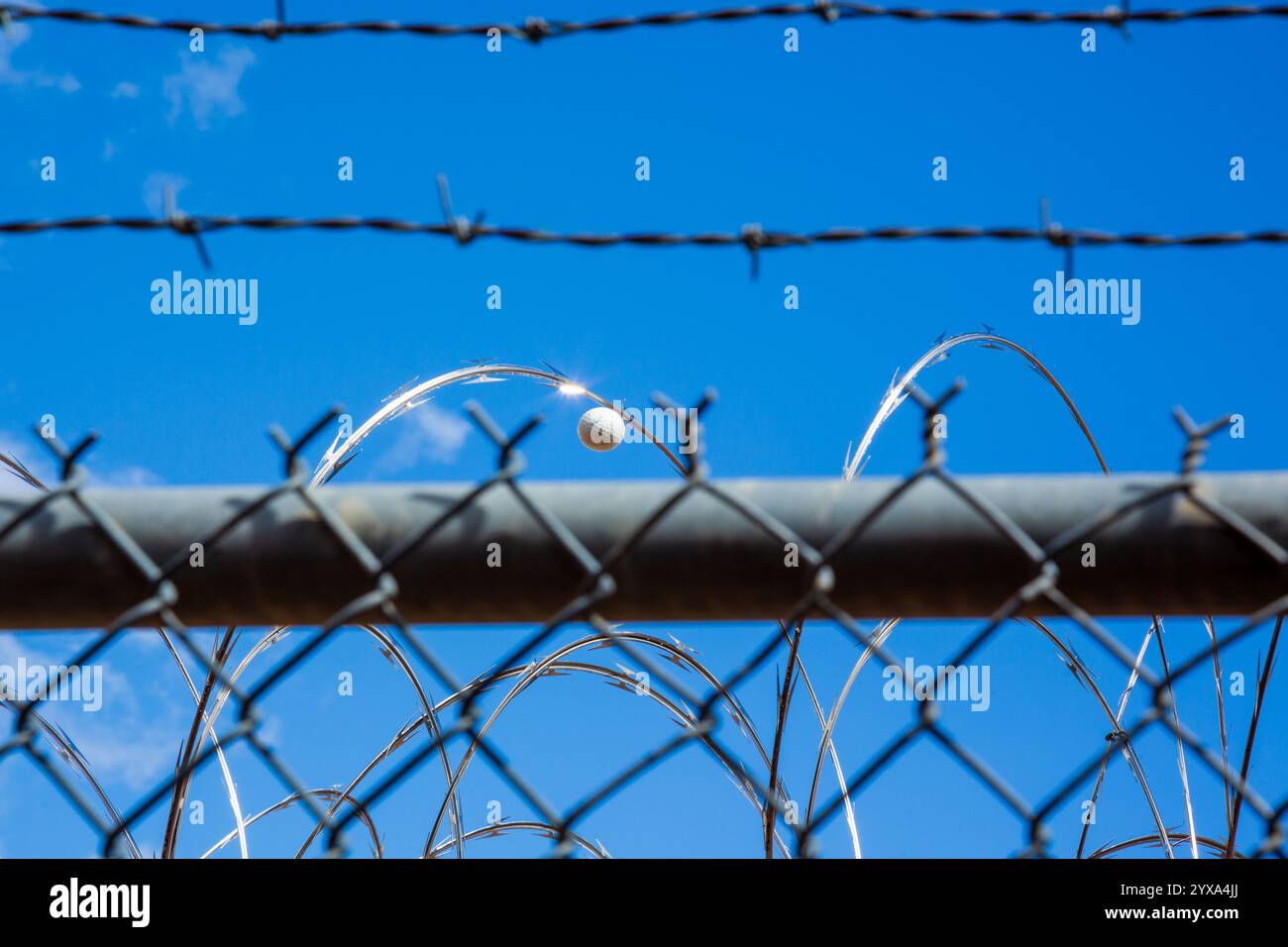 Una palla da golf impigliata da rasoio e recinzione di filo spinato. Foto Stock