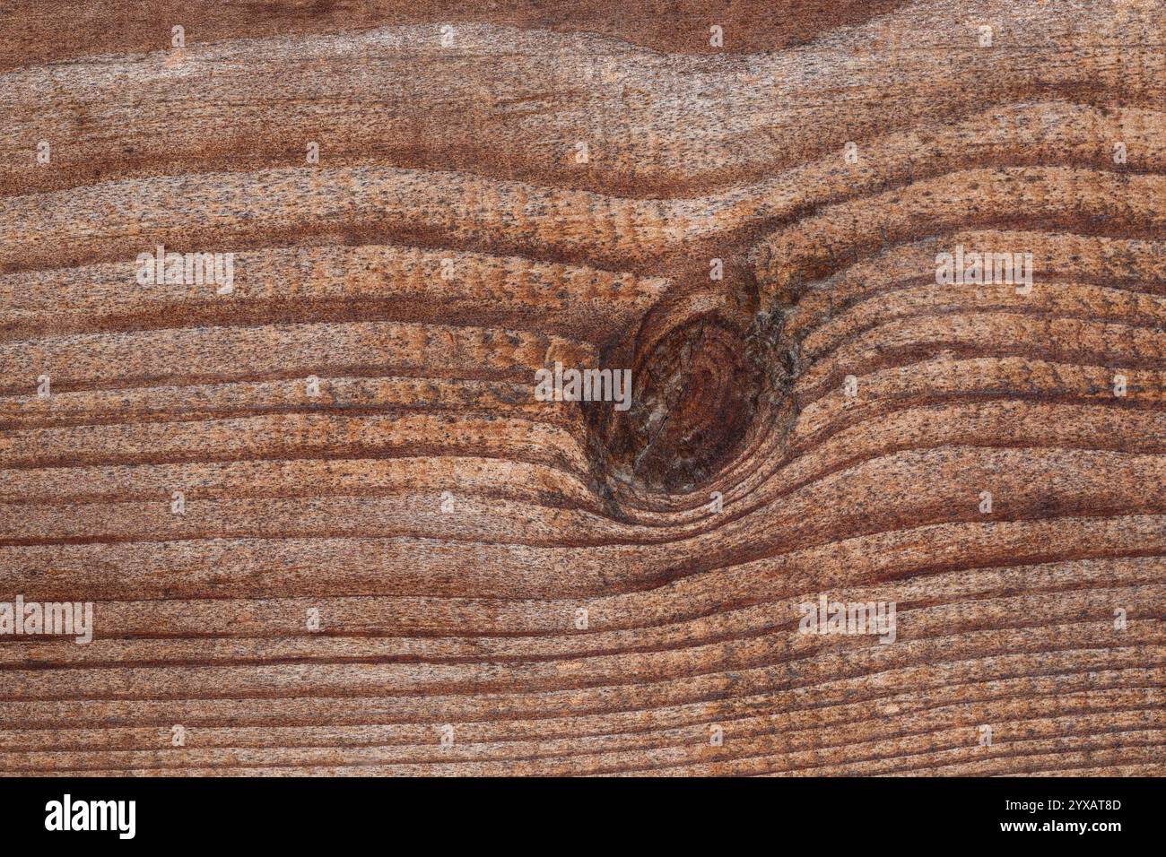 La consistenza di una tavola di pino con un nodo in primo piano. Foto Stock