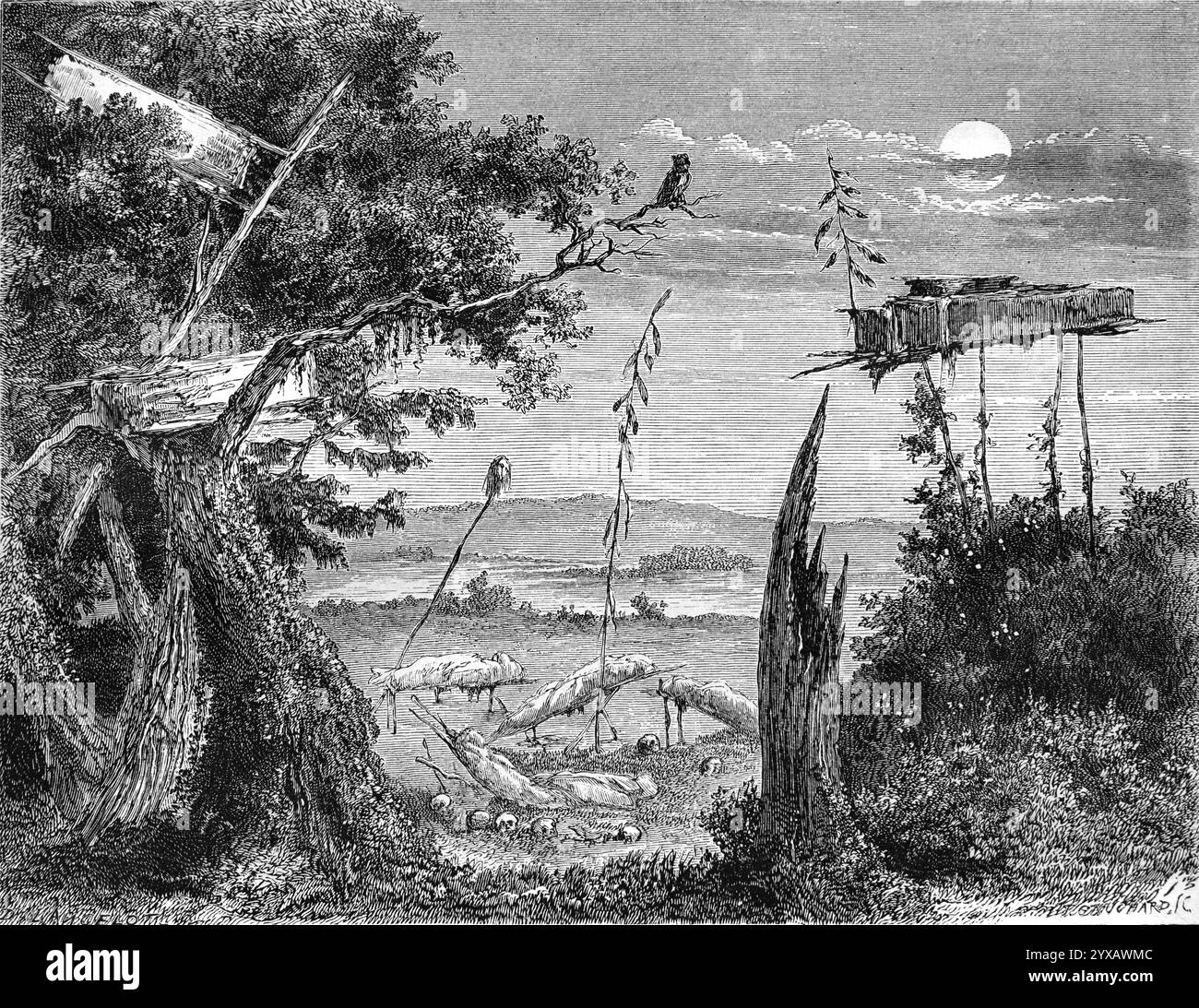 Albero di sepoltura, ponteggio sepolcrale, tombe rialzate o bare di un cimitero Sioux negli Stati Uniti, negli Stati Uniti o negli Stati Uniti d'America. Incisione vintage o storica o illustrazione 1864 Foto Stock