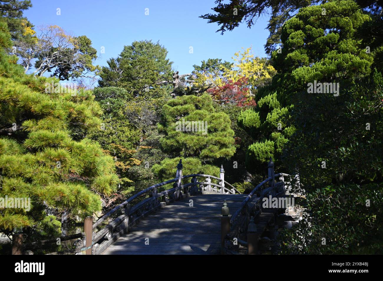 Ponte Keyakibashi e stagno nel giardino "Oike-niwa" del Palazzo Imperiale di Kyōto (Kyōto-gosho) a Kyoto, Giappone. Foto Stock