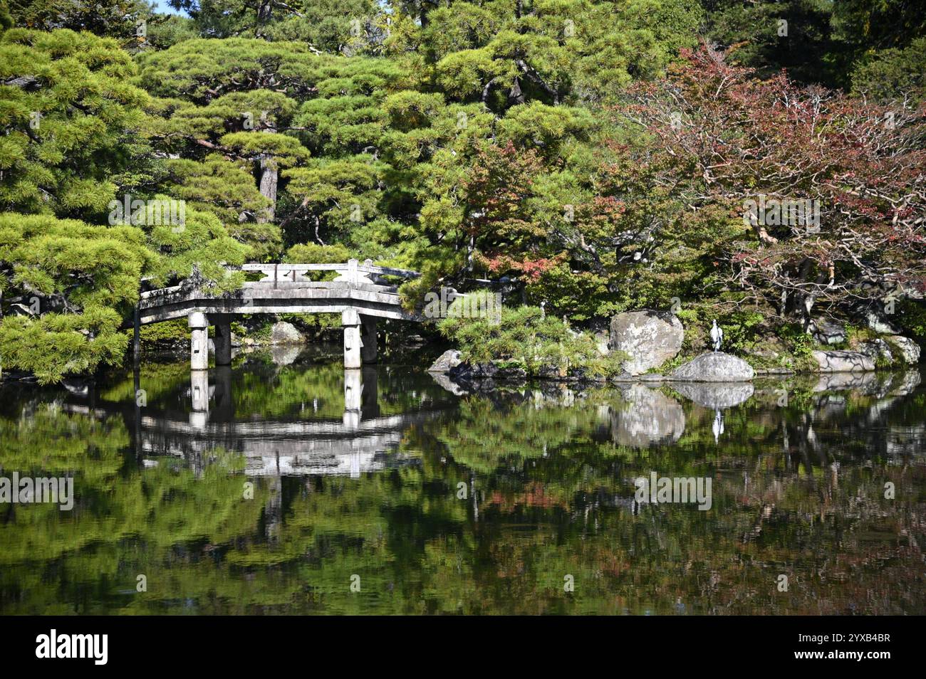 Keyaki Zelkova Bridge e stagno nel giardino "Oike-niwa" del Palazzo Imperiale di Kyōto (Kyōto-gosho) a Kyoto, Giappone. Foto Stock