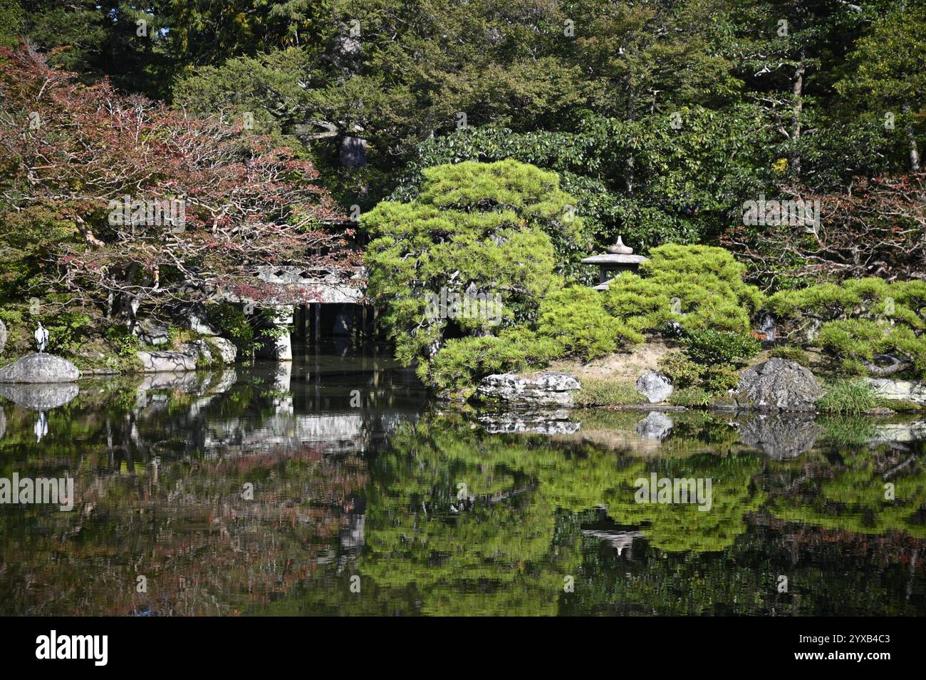 Ponte e stagno Keyaki Zelkova e lanterna in pietra Yukimi-gata nel giardino "Oike-niwa" al Palazzo Imperiale di Kyōto (Kyōto-gosho) a Kyoto, Giappone. Foto Stock