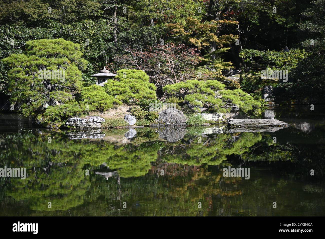 Lanterna in pietra Yukimi-gata nel giardino 'Oike-niwa' di fronte ai palazzi 'Kogosho' e 'Ogakumonjō' presso il Palazzo Imperiale di Kyōto (Kyōto-gosho) a Kyoto, Giappone. Foto Stock