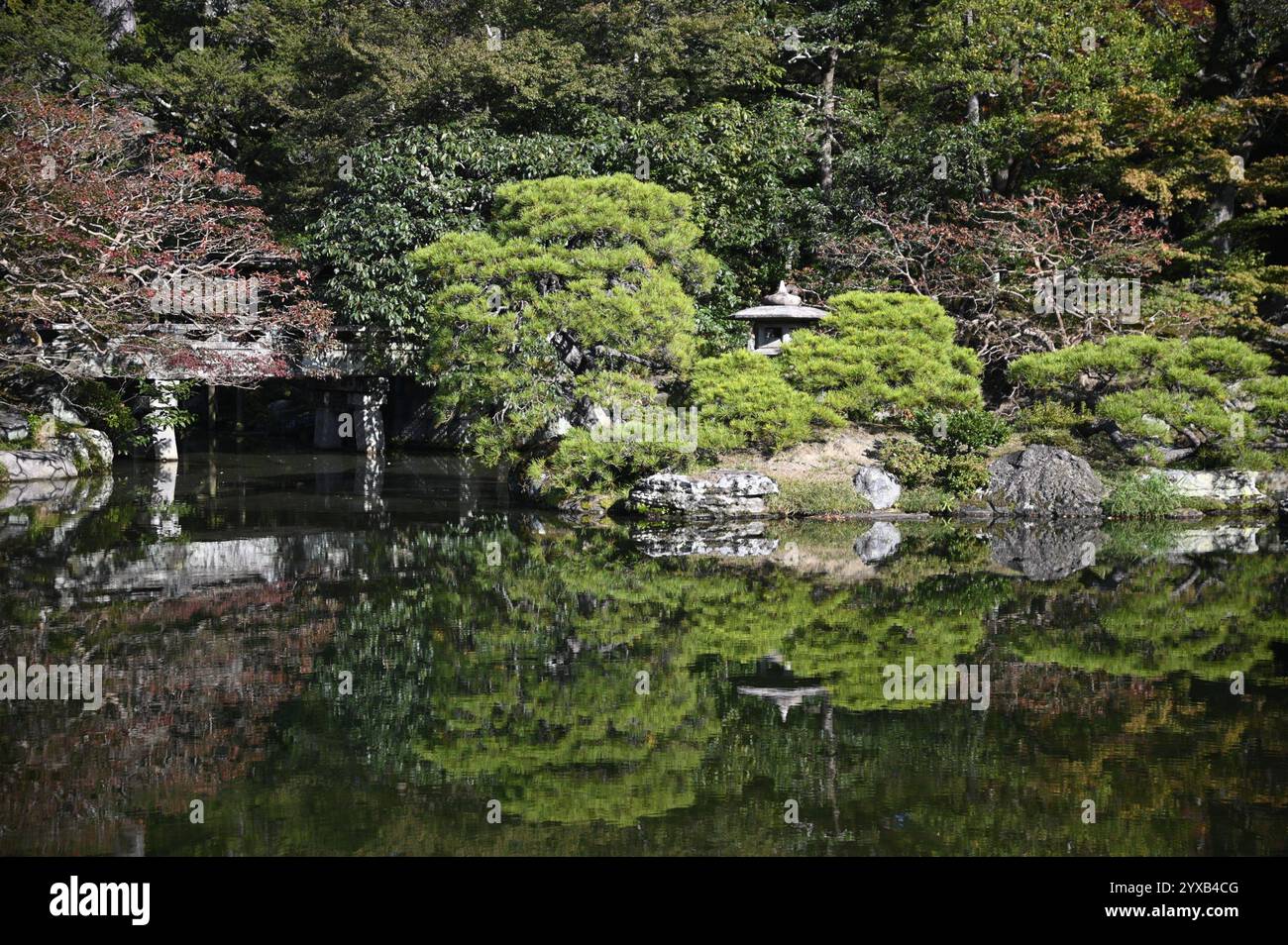 Ponte e stagno Keyaki Zelkova e lanterna in pietra Yukimi-gata nel giardino "Oike-niwa" al Palazzo Imperiale di Kyōto (Kyōto-gosho) a Kyoto, Giappone. Foto Stock