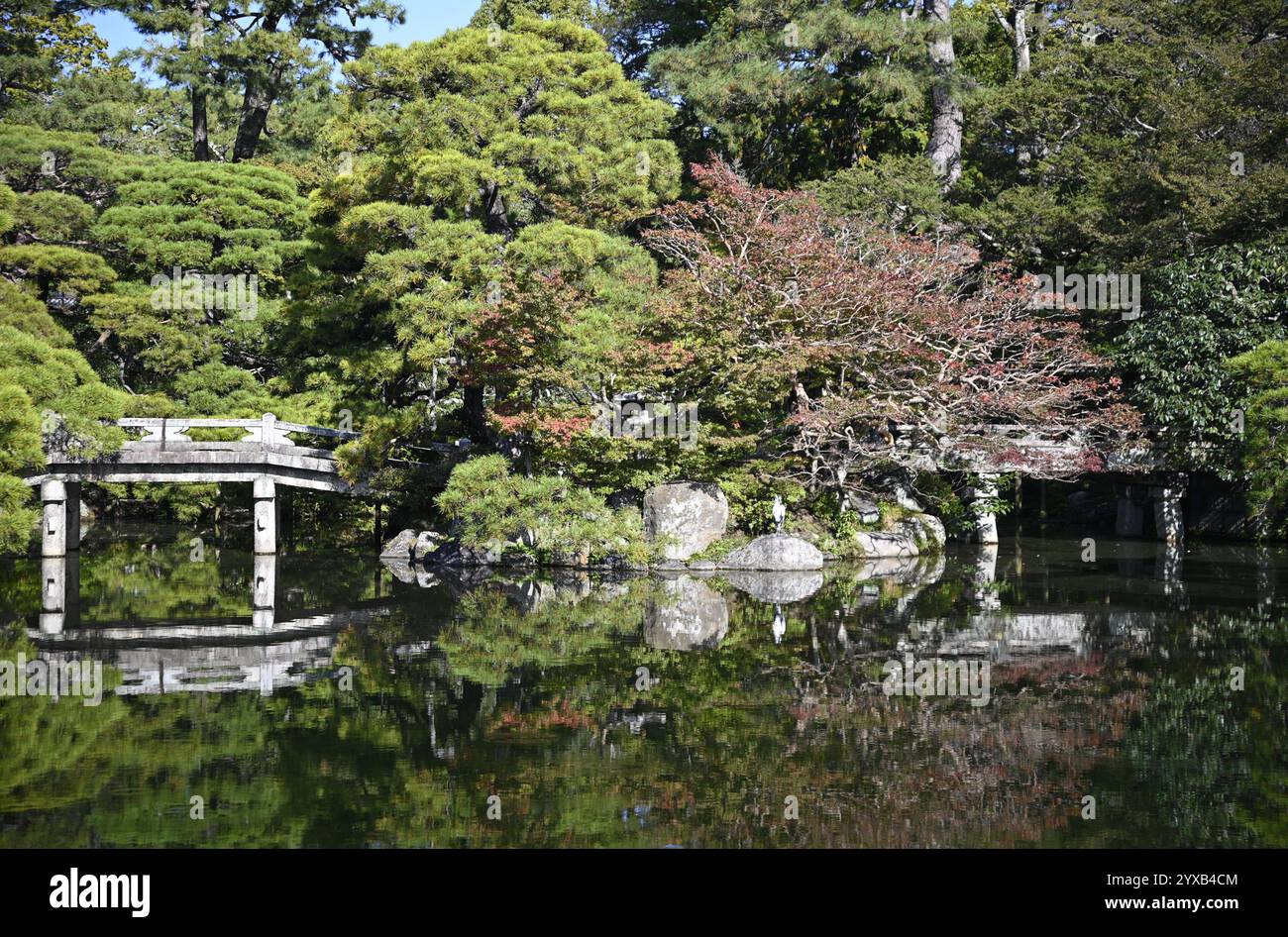 Ponte Keyaki e stagno nel giardino 'Oike-niwa' di fronte ai palazzi 'Kogosho' e 'Ogakumonjō' presso il Palazzo Imperiale di Kyōto (Kyōto-gosho) a Kyoto, Giappone. Foto Stock