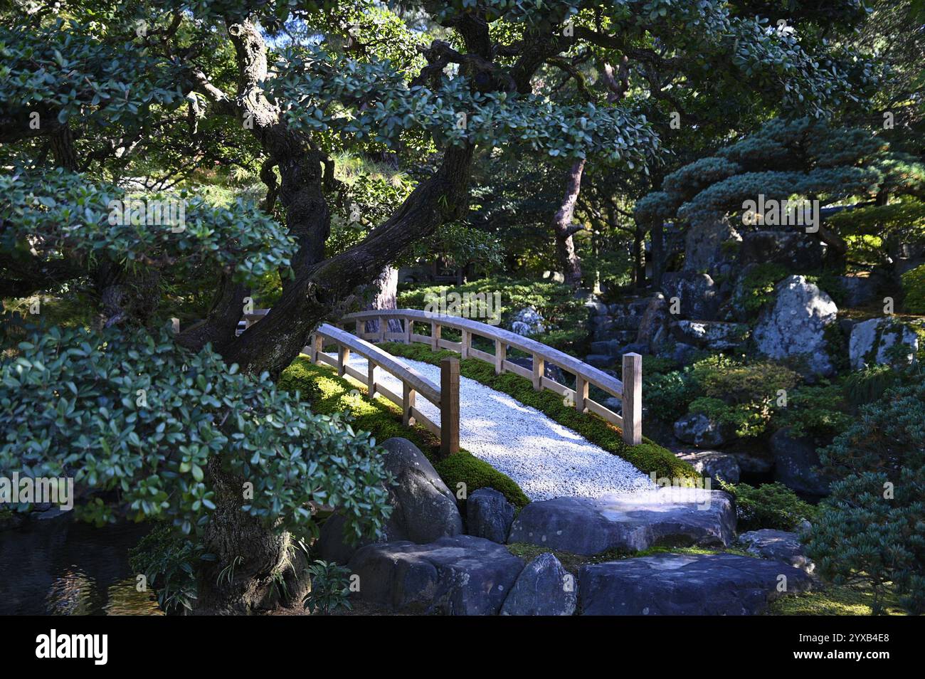 Ponte Keyaki nel giardino 'Oike-niwa' di fronte ai palazzi 'Kogosho' e 'Ogakumonjō' presso il Palazzo Imperiale di Kyōto (Kyōto-gosho) a Kyoto, Giappone. Foto Stock