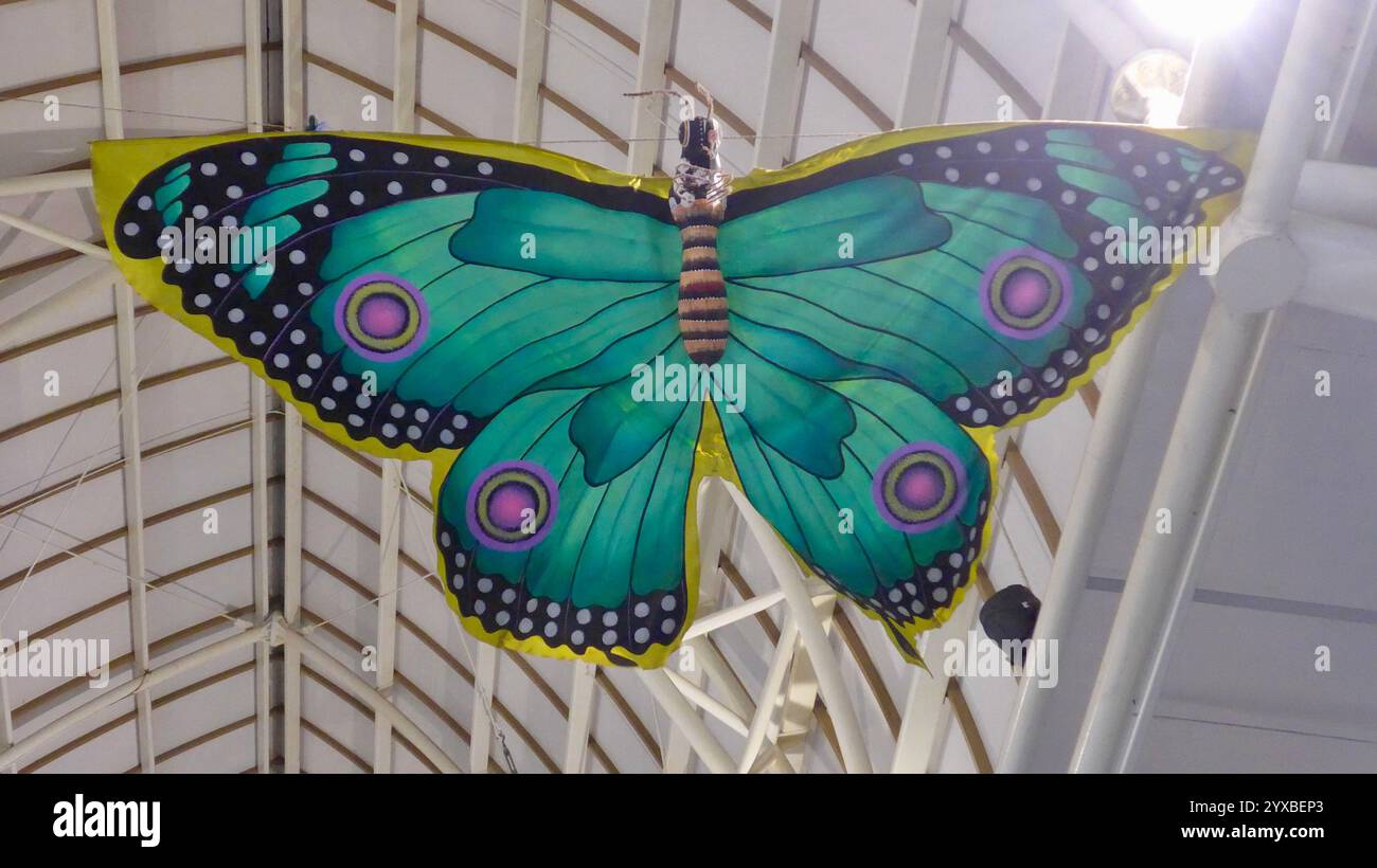 Splendida decorazione a farfalla con ali a motivi verdi installate sul soffitto dell'airpot. Decorazione di animali sul soffitto per decorazione mentre turista landi Foto Stock