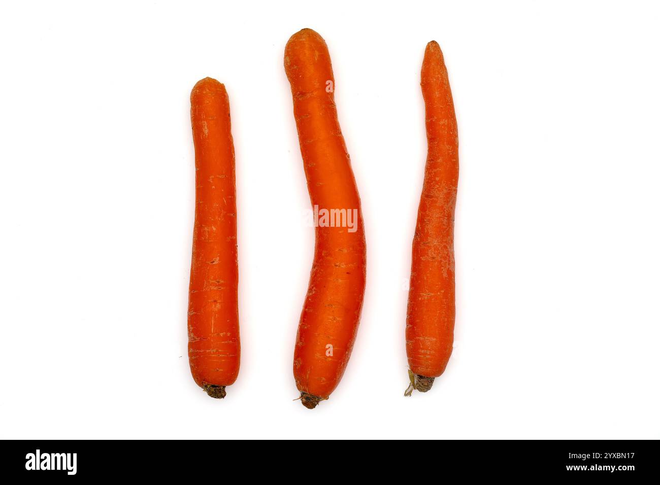 Esercizio di conteggio con tre carote fresche isolate su sfondo bianco Foto Stock