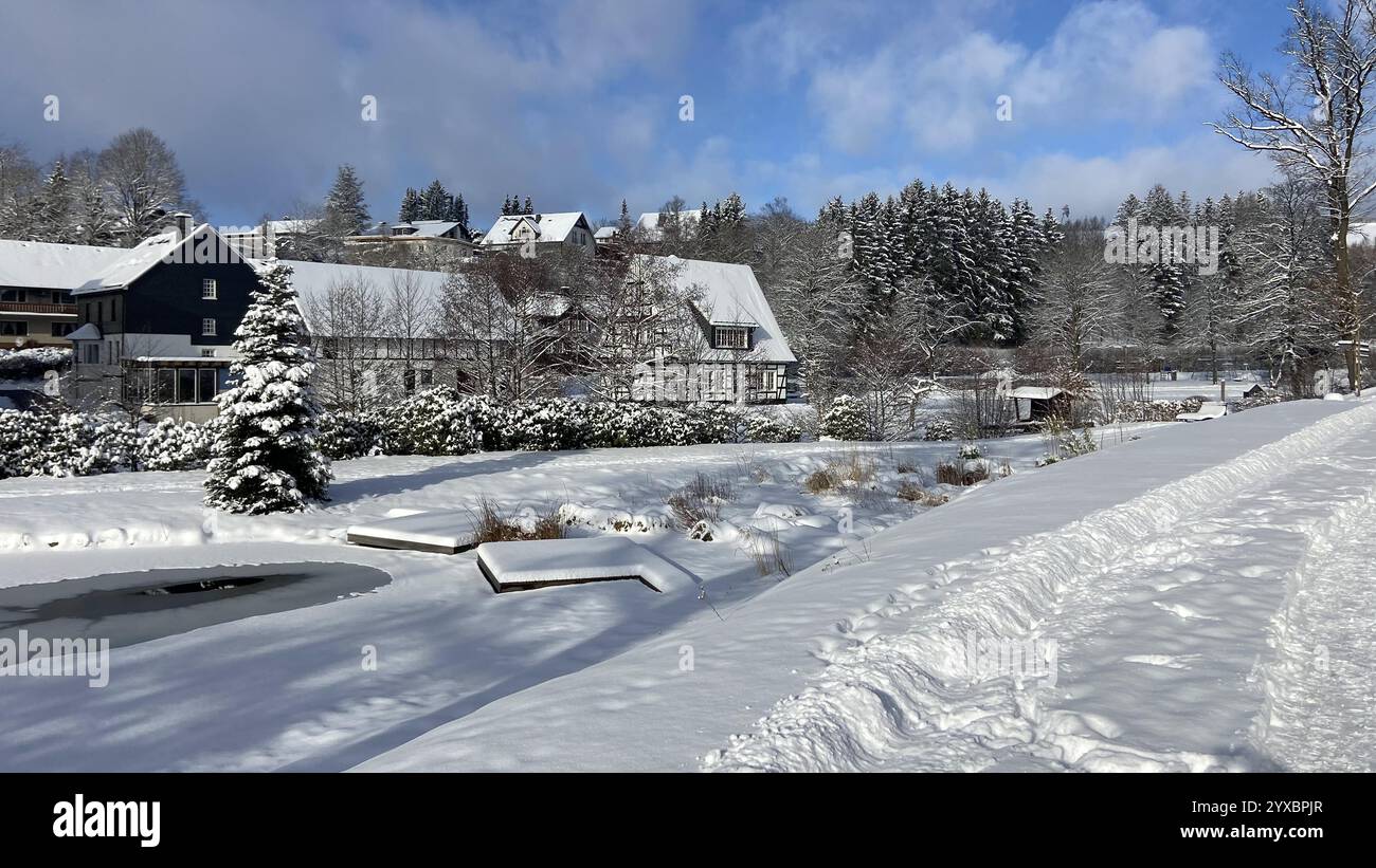 Paesaggio invernale sulla neve Foto Stock