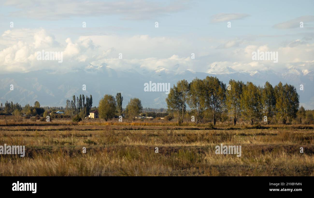 Splendido paesaggio e prato in Kirghizistan vicino alla regione di issyk-kul Foto Stock