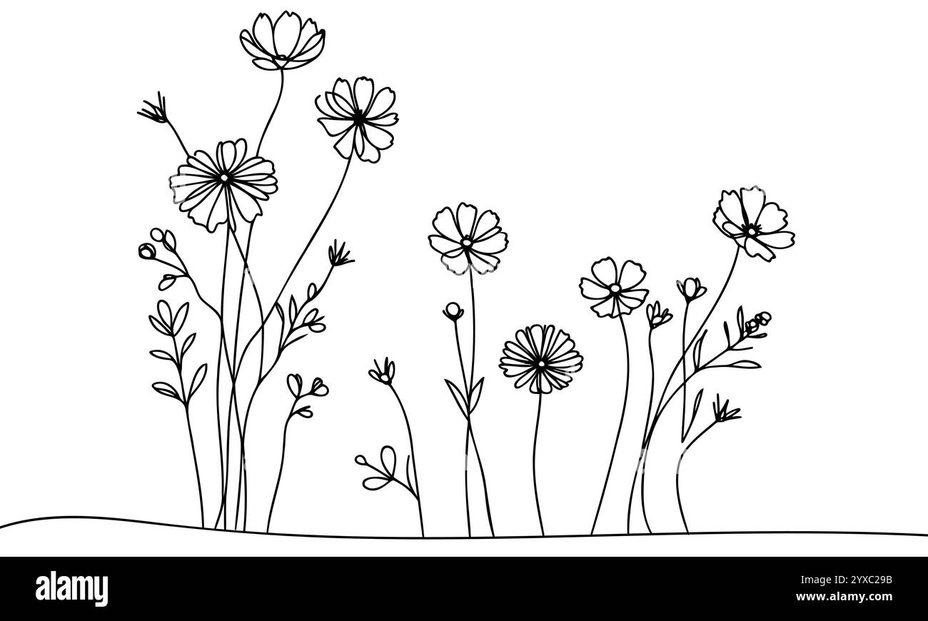 Set artistico linea Wildflower. Collezione botanica Flower Doodle. Erbe e prati, erba. Illustrazione vettoriale isolata su sfondo bianco. Camoscio Illustrazione Vettoriale