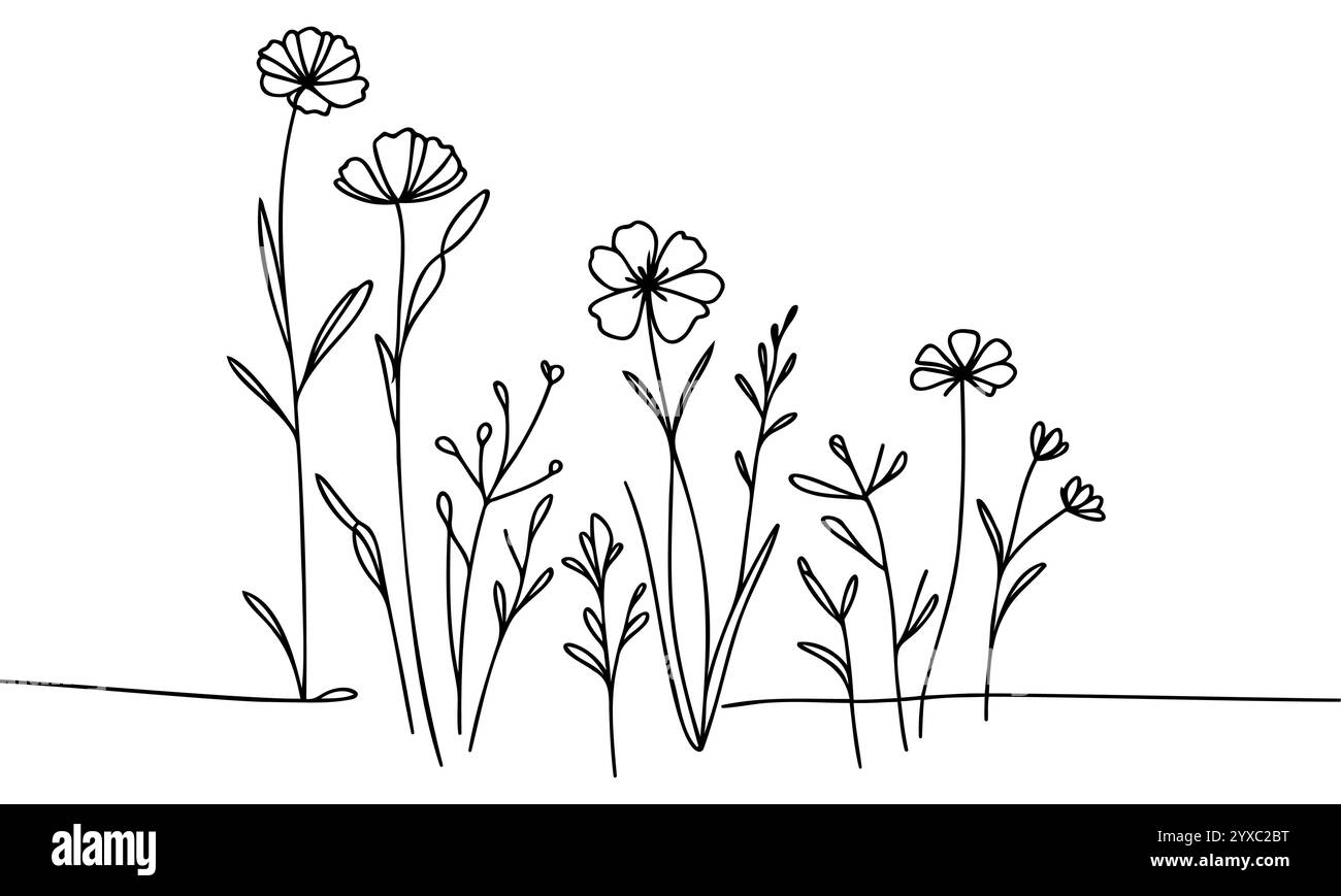 Set artistico linea Wildflower. Collezione botanica Flower Doodle. Erbe e prati, erba. Illustrazione vettoriale isolata su sfondo bianco. Camoscio Illustrazione Vettoriale