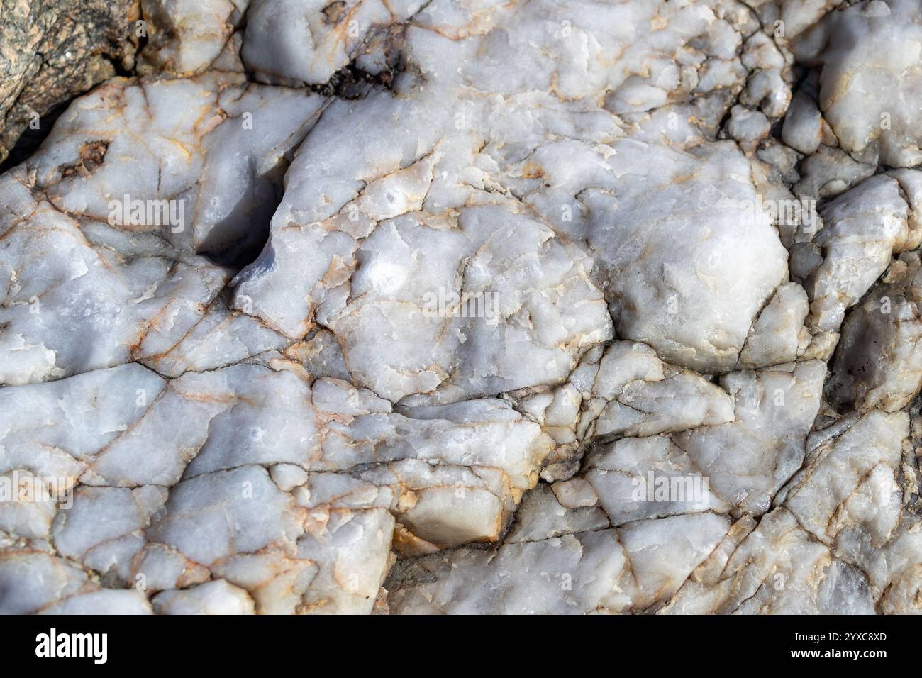 Dettagli di roccia bianca dalla Svezia, Europa Foto Stock