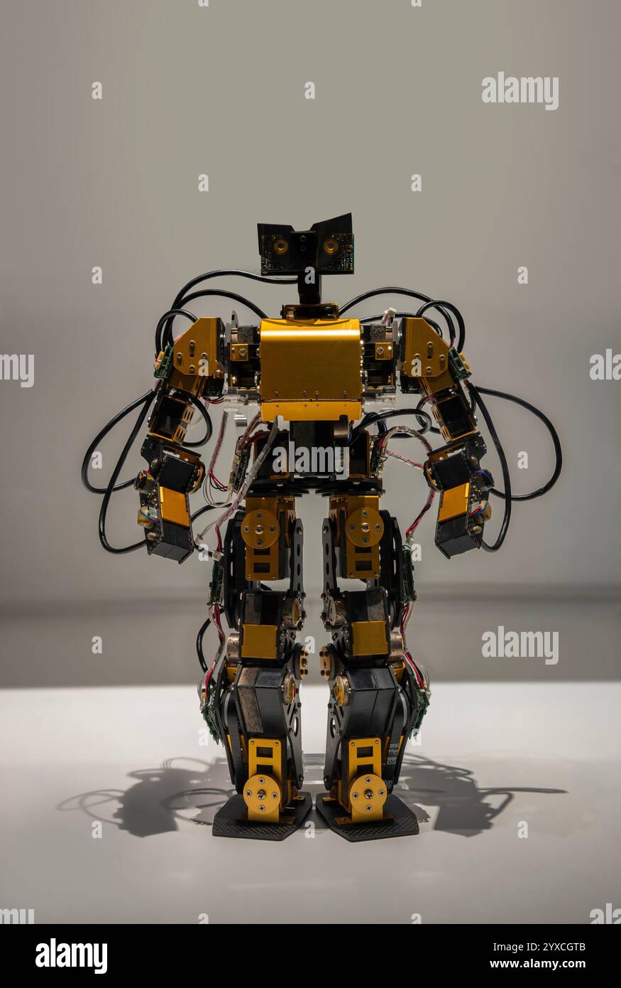 Robot umanoide giapponese in metallo dorato realizzato con microprocessori e cavi con funzionalità di riconoscimento avanzate e sistema autonomo integrato. Foto Stock