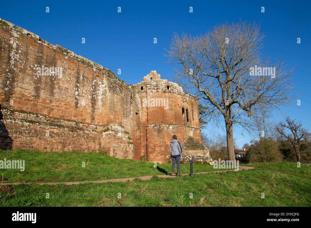 I resti del castello di Kenilworth nel Warwickshire, costruito dopo la conquista normanna nel 1066 fino al periodo Tudor, l'ex casa di Robert Dudley. Foto Stock