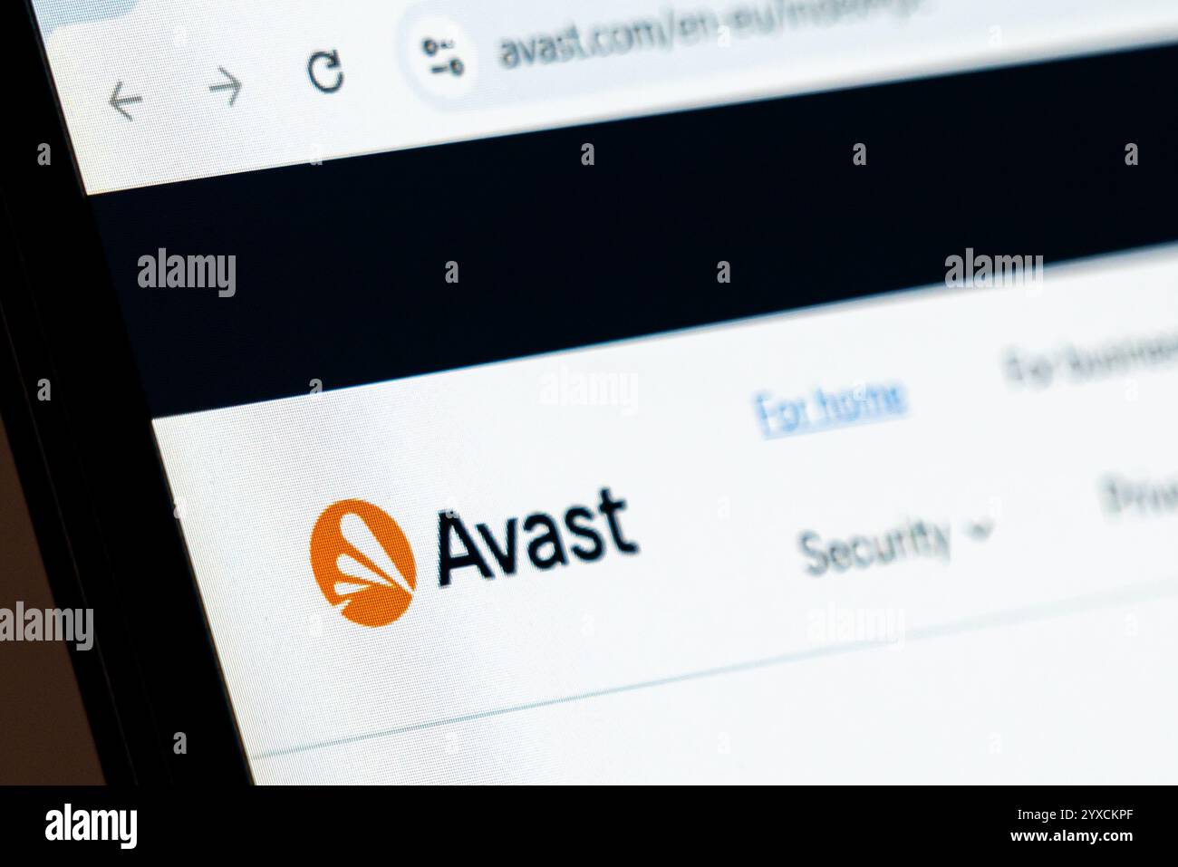 New York, USA - 15 dicembre 2024: Homepage del sito Web Avast visualizzata sullo schermo del computer con il logo aziendale. Piattaforma online per software antivirus e. Foto Stock