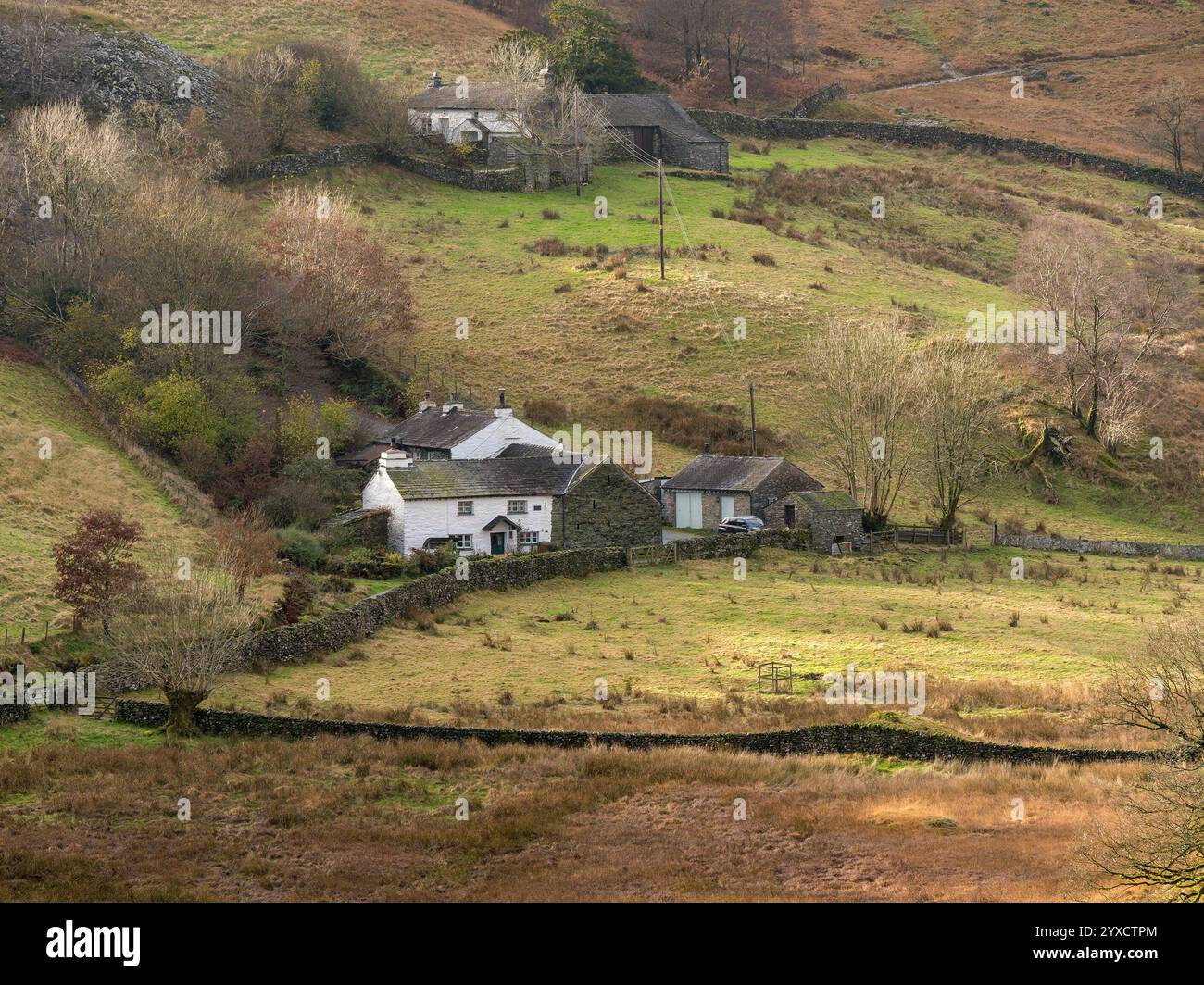 Piccoli cottage bianchi isolati a Little Langdale nel Lake District inglese, Cumbria, Inghilterra, Regno Unito Foto Stock