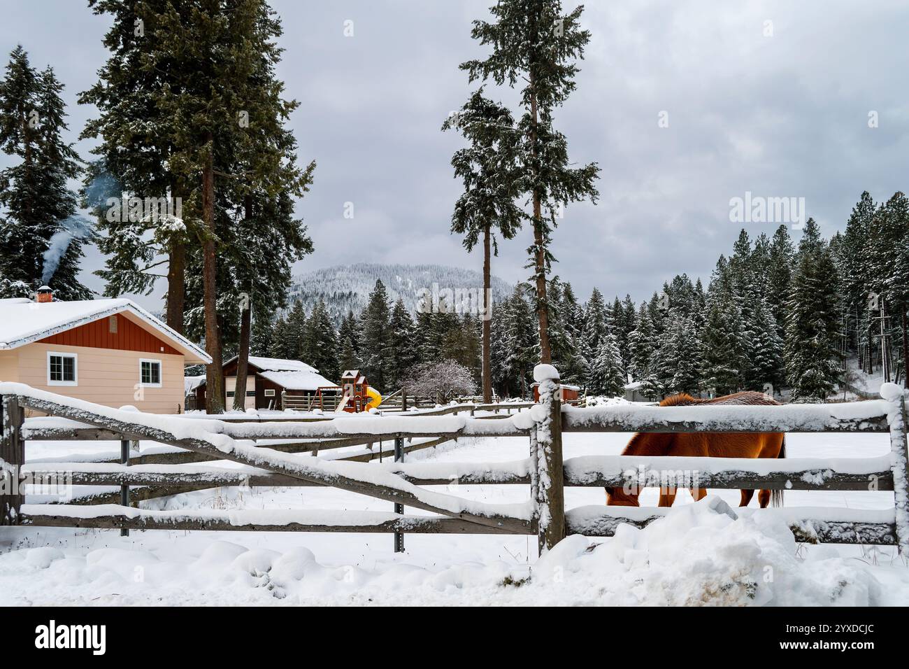 Un piccolo ranch con fienile e cavallo in un corral in una giornata invernale innevata a Coeur d'Alene, Idaho, nella regione settentrionale dell'Idaho. Foto Stock