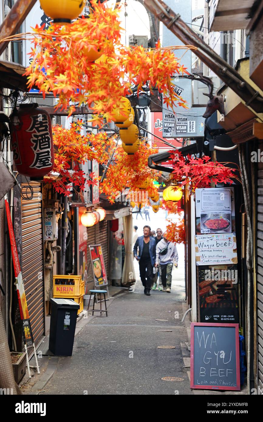 Omoide Yokocho o Memory Lane vicolo di bar e ristoranti a Shinjuku, Tokyo, Giappone Foto Stock