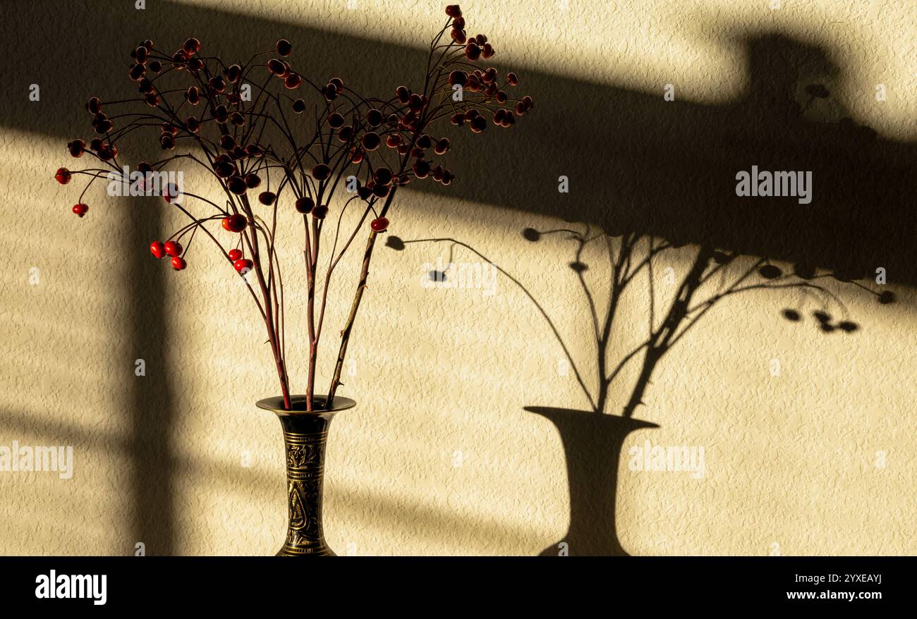 Viburnum rosso rowan nel vaso di metallo nero contro il muro ombreggiato Foto Stock