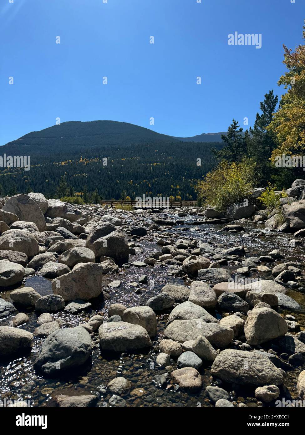 Parco nazionale delle Montagne Rocciose durante la stagione di Aspen Foto Stock