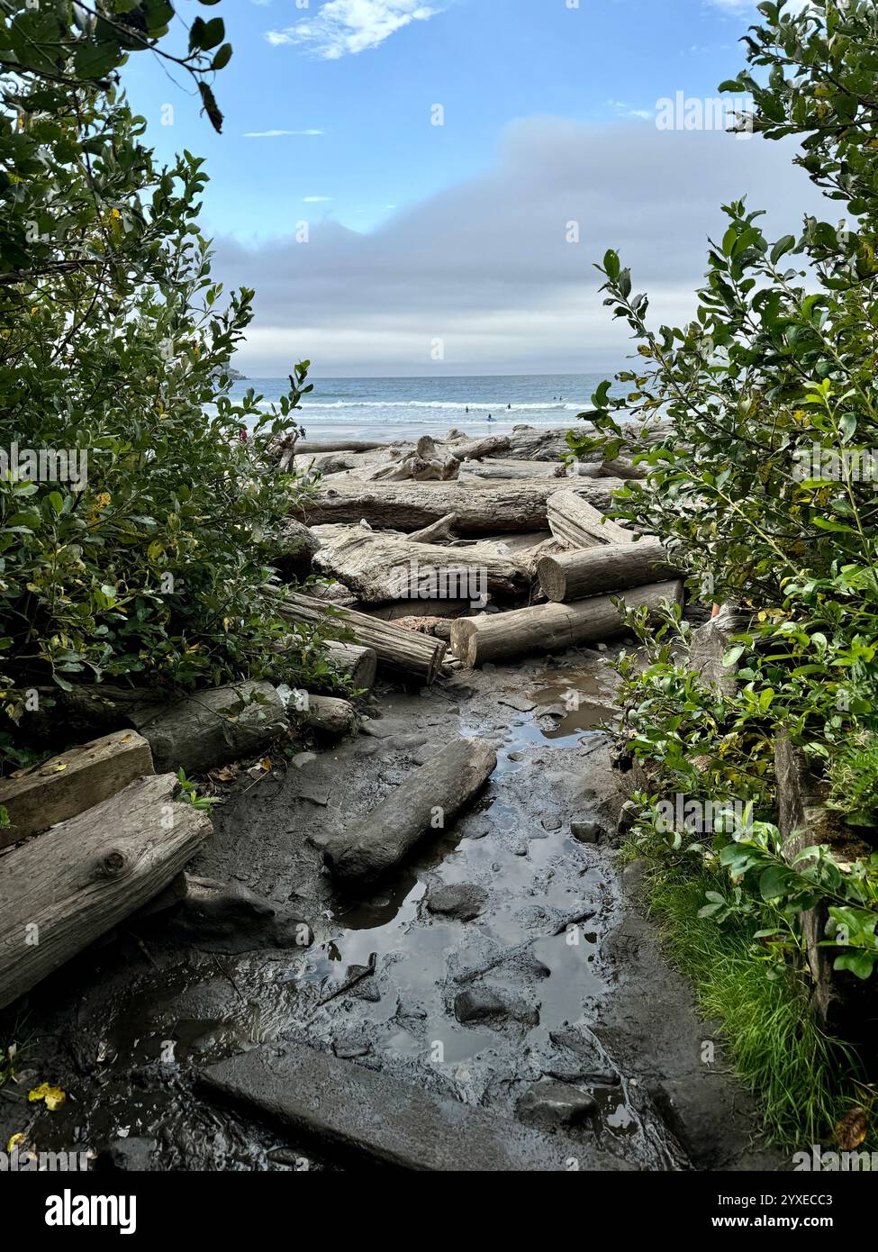 Cannon Beach in Oregon Foto Stock