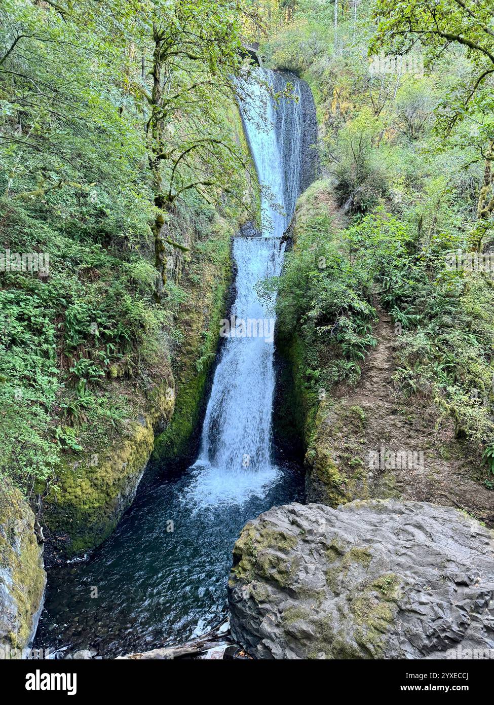Cascate dell'Oregon Foto Stock