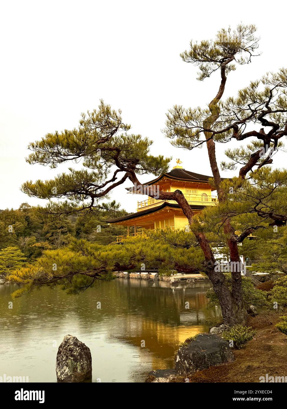 Golden Shrine o Kinkaku-ji a Kyoto in Giappone Foto Stock