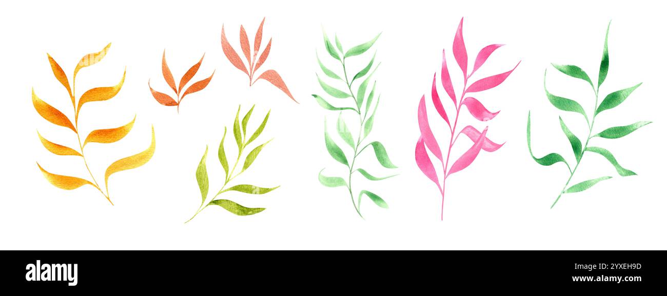 Set di illustrazioni astratte delle foglie di acquerello semplice. Verde, arancione, rosa. Clip art colorata con elementi floreali per tessuti da cucina Foto Stock