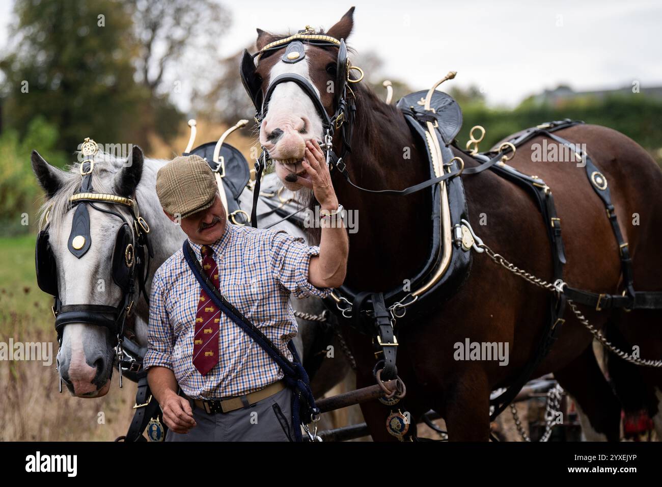 PA RECENSIONE DELL'ANNO 2024 foto del file datata 24/09/24: Anthony Bysouth con i cavalli della contea George e Arthur dopo aver falciato un prato a Kensington Palace, Londra, secondo il metodo tradizionale. L'utilizzo di un rasaerba trainato da cavalli non solo è più delicato sul terreno, ma rappresenta anche un'alternativa sostenibile ai trattori, che può essere più dannosa per il terreno. Data di pubblicazione: Lunedì 16 dicembre 2024. Foto Stock