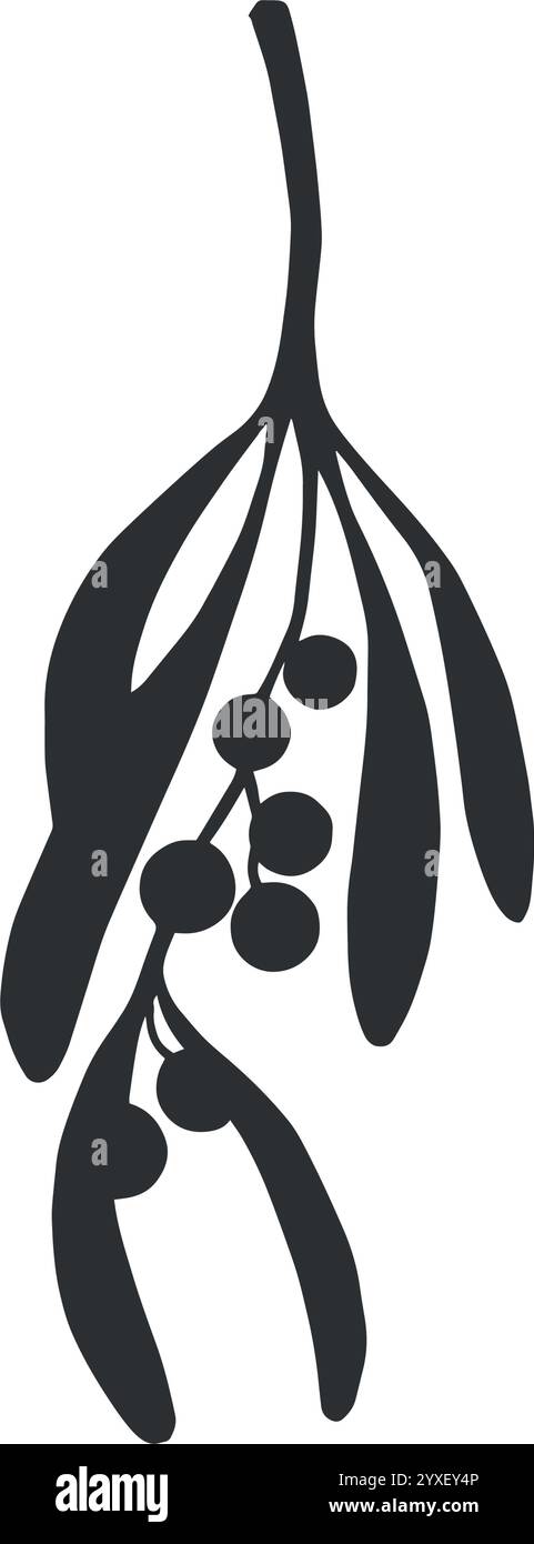 Ramoscello di istletoe con frutti di bosco e foglie. Pianta tradizionale natalizia. Illustrazione grafica vettoriale. Decorazioni per le vacanze invernali sfondo romantico Illustrazione Vettoriale