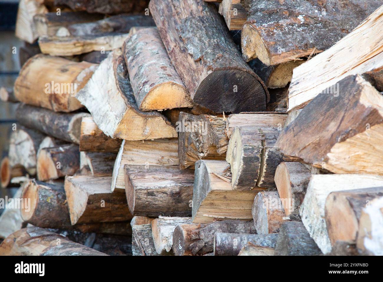 Una grande pila di tronchi impilati accuratamente uno sopra l'altro Foto Stock