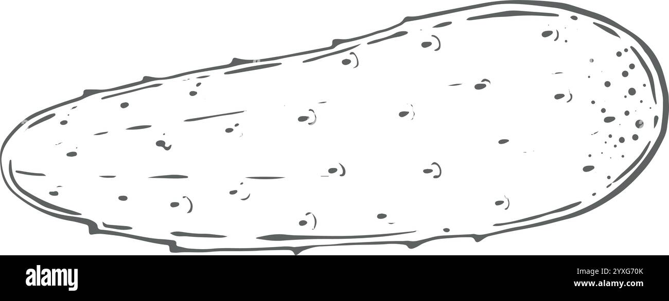 Cetriolo fresco verde, intero, piccolo. Acquerello illustrazione di alta qualità su sfondo bianco può essere utilizzata in menu, ricette, insalate, cucina, ingredienti dei piatti Mietitura, ortaggi dell'orto, della fattoria. Illustrazione Vettoriale