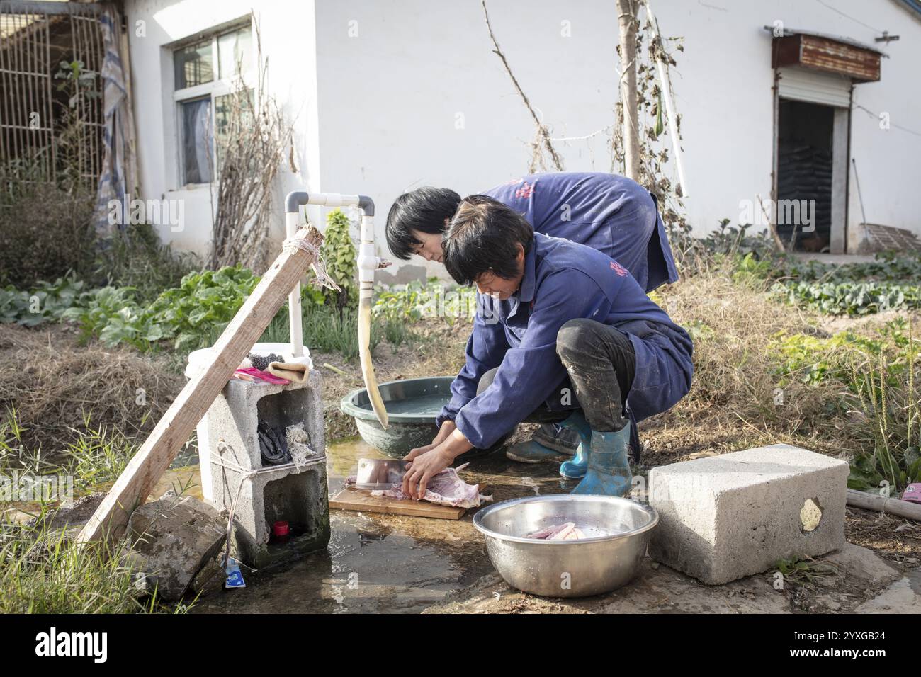 Lu Jua Ling prepara un'anatra per i suoi colleghi da mangiare, Duck Breeding Centre Jiang su Xiang Gui Breeding Co.. Ltd, Xiang Shui County, Cina, Asia Foto Stock