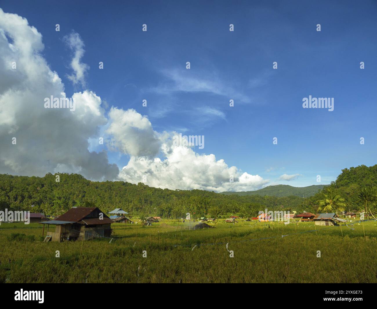 Paesaggio con risaie e capanne, Tomohon, Manado, Sulawesi Foto Stock