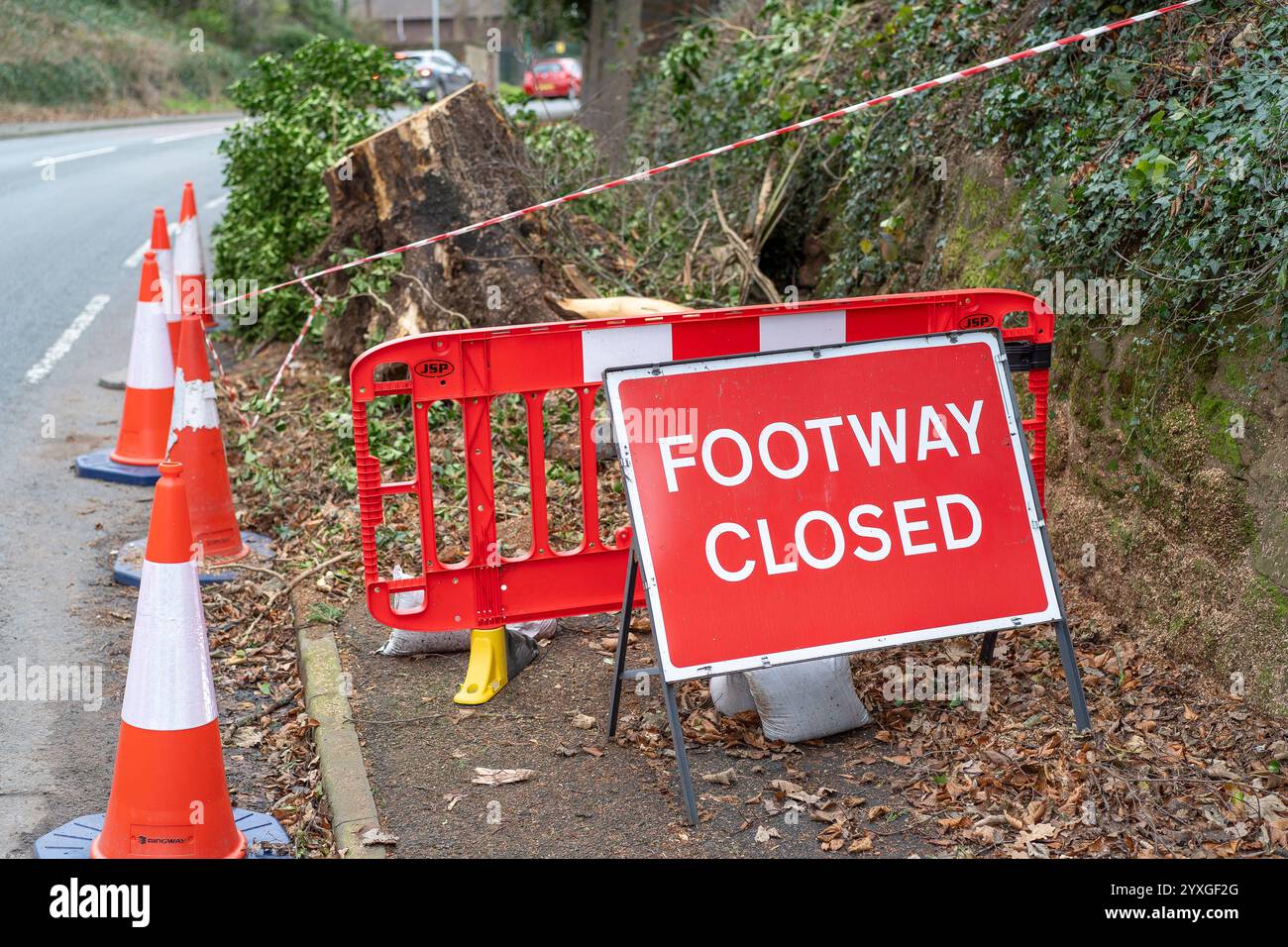 Cartello "Footway CLOSED" sul marciapiede del Regno Unito bloccato dai detriti di alberi caduti dopo la tempesta Darragh. Coni stradali, nastro isolante vicino all'area pedonale. Foto Stock