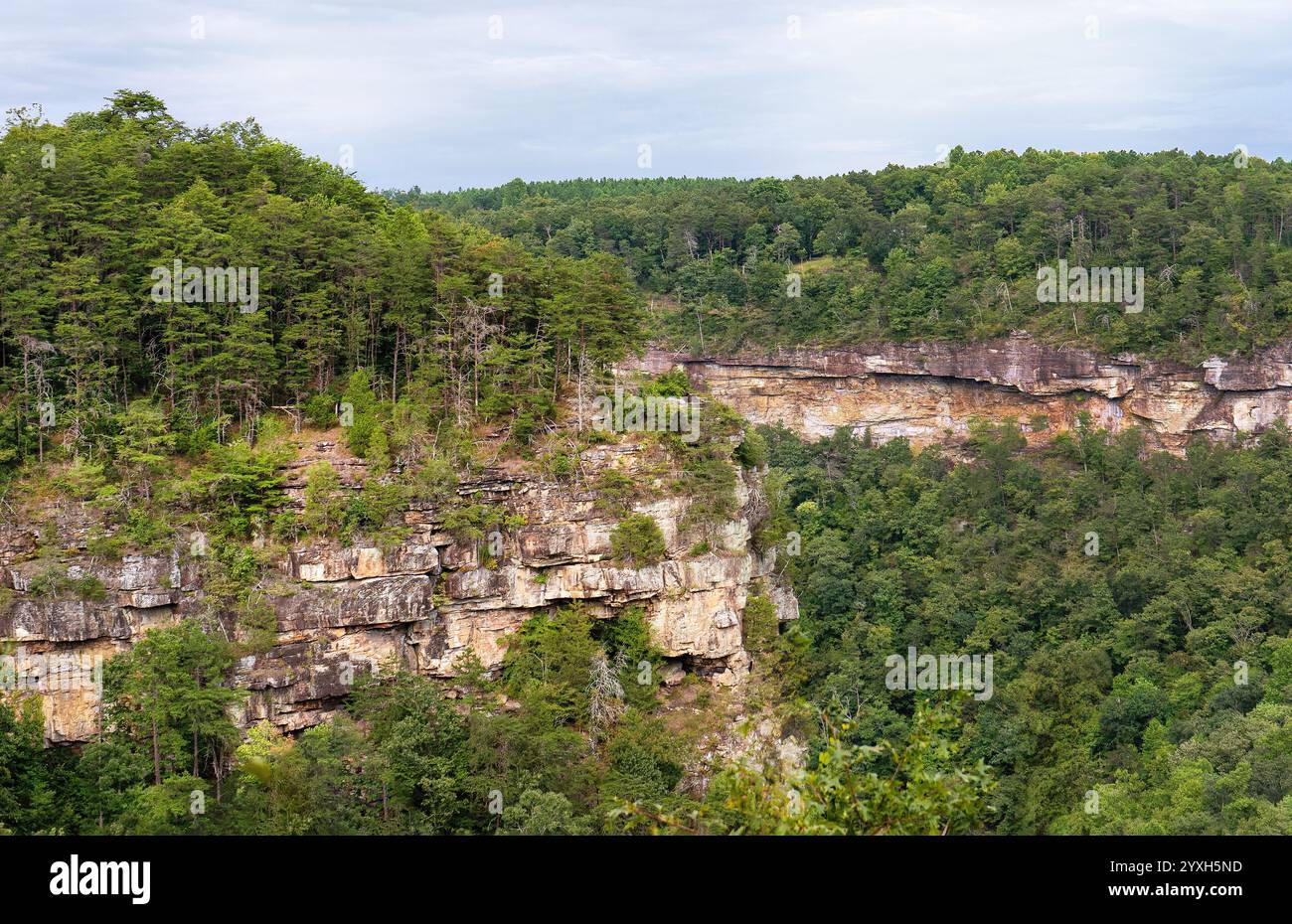 Da Eberhart Point si affacciano in estate sulle scogliere scoscese che sovrastano la riserva nazionale di Little River Canyon in Alabama sono incorniciate da una fitta foresta verde. Foto Stock