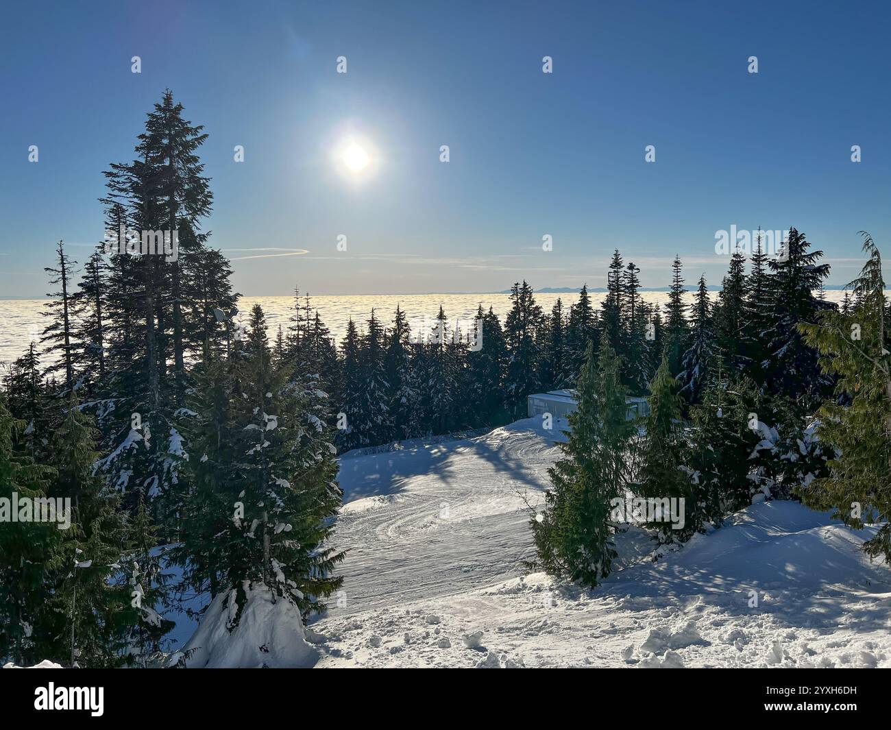 Scena invernale al Monte Grouse che mostra piste innevate circondate da alberi sempreverdi carichi di neve, con sole luminoso e strato di nuvole sotto il monte Foto Stock