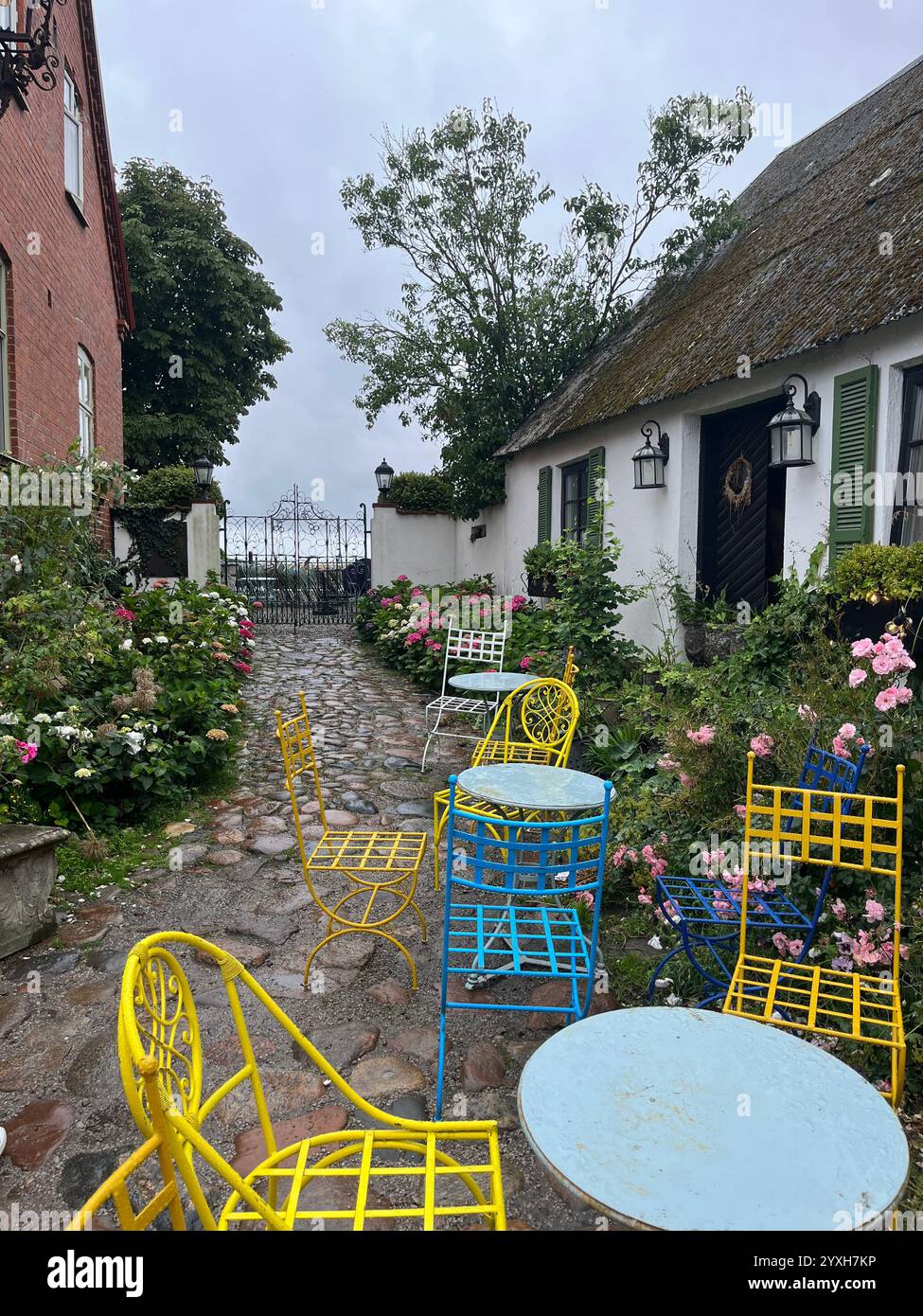 Arredi e fiori colorati per esterni in un cortile di casa durante l'estate svedese. Foto scattata a Österlen, Skåne, Svezia, agosto 2023 Foto Stock