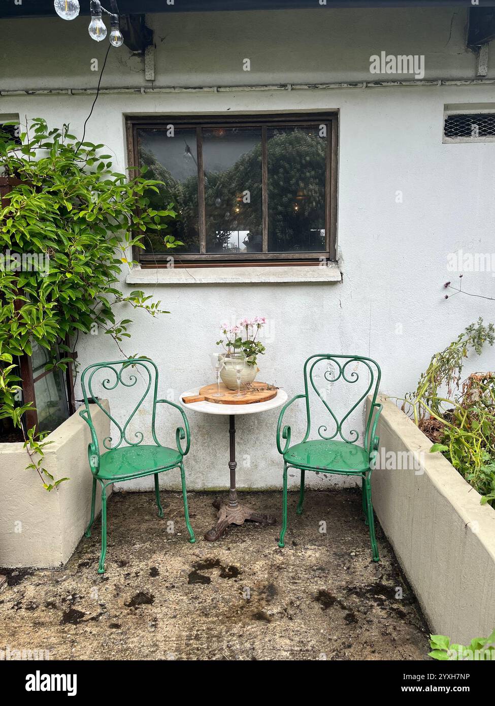 Arredi e fiori colorati per esterni in un cortile di casa durante l'estate svedese. Foto scattata a Österlen, Skåne, Svezia, agosto 2023 Foto Stock