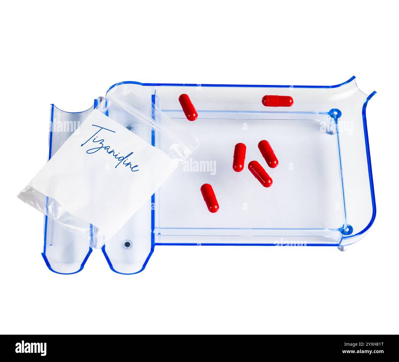 Rovine di Aguadilla in stile contemporaneo vicino al mare a Puerto Rico, con vista sulla spiaggia, il paesaggio dell'oceano e un cane sulla riva Foto Stock